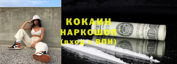 стаф Богородск