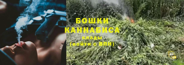 стаф Богородск