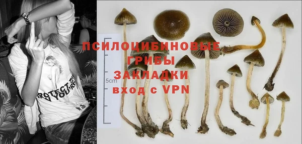 гидропоника Богородицк